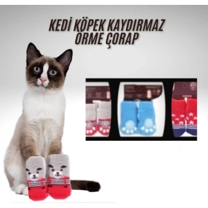Cazibiz Kedi-Köpek Kaydırmaz Örme Çorap Seti-967282