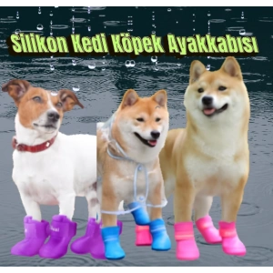 Cazibiz Silikon Kedi-Köpek Ayakkabı Seti-419673