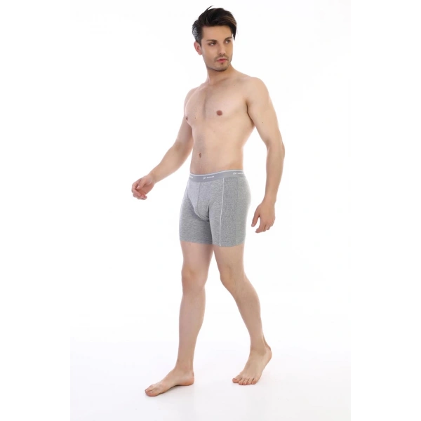 Çift Kaplan  Uzun Erkek Boxer