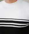 Erkek çizgili Kısa Kollu T-shirt
