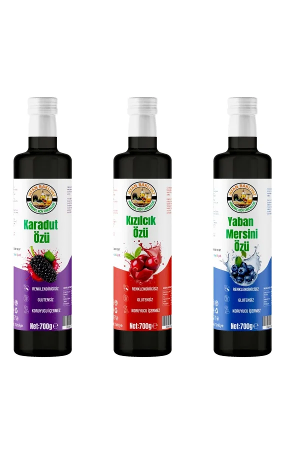 Eko 3 Lü(karadut Özü,kızılcık Özü,yaban Mersini Özü 3 *700 gr