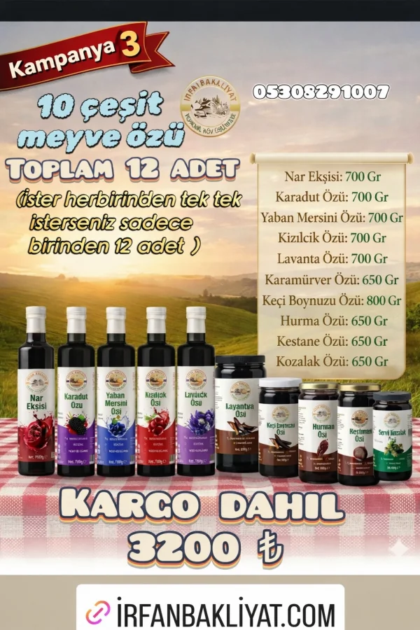 Kampanya 3 (Meyve özü )