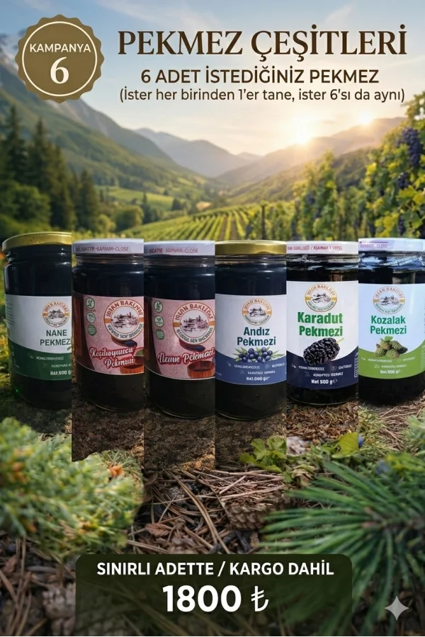 Kampanya 6 (pekmez çeşitleri )