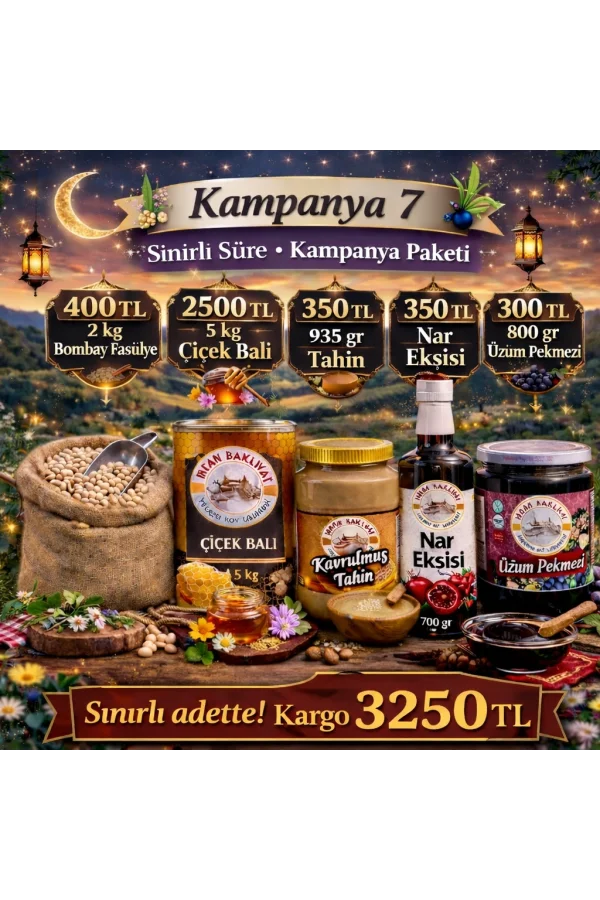 Kampanya 7