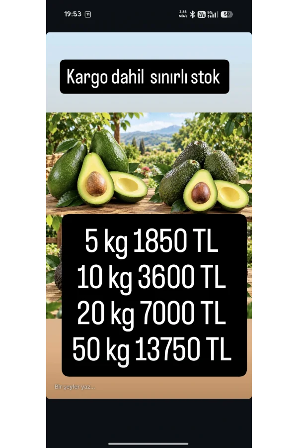 Avokado 5 kg