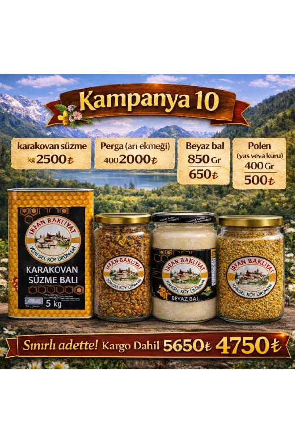 Kampanya 10
