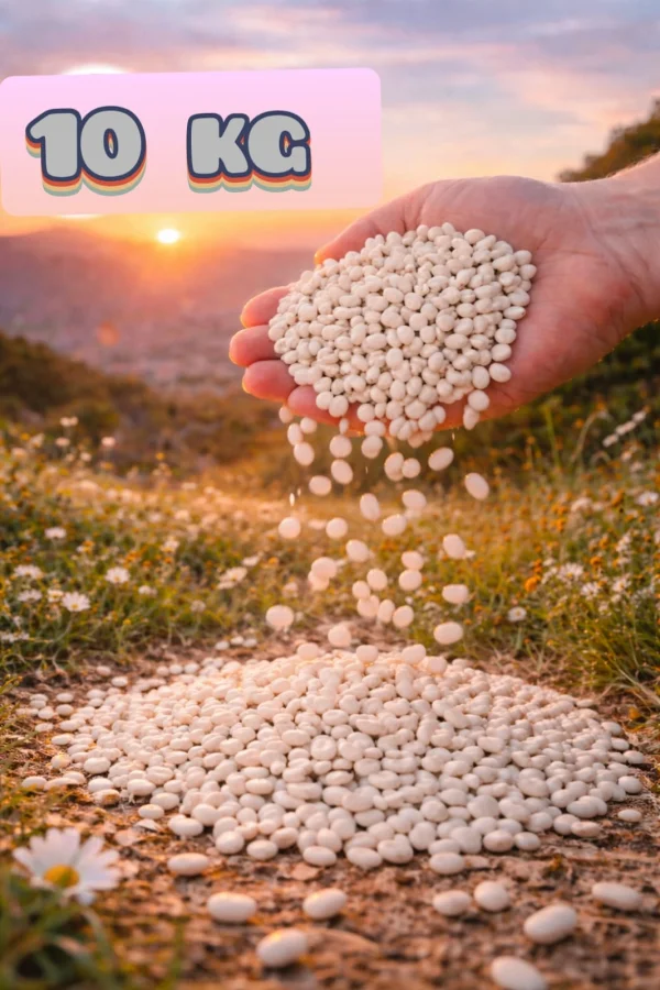 Kuru Fasulye 10 Kg ( Köy Mahsulu ) (KATKISIZ, DOĞAL)