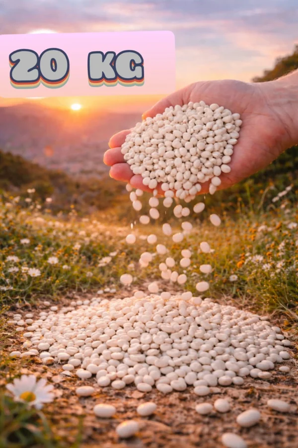 Kuru Fasulye Net 20 Kg Katkısız(DOĞAL)