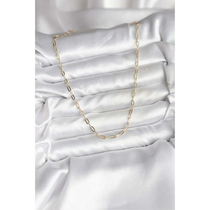 14K Gold Renk Kaplama Ataç Zincir Model CM Kadın Kolye