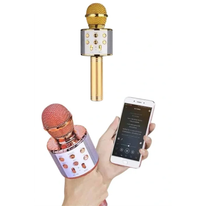 Bluetooth Hoparlör USB AUX SD Kart Kaoroke Mikrofon Uzun Pil Ömrü