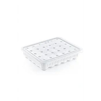 30'lu Yumurta Saklama Kabı (5047)