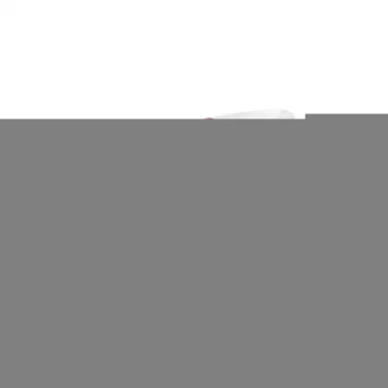 Çok Amaçlı Halı ve Koltuk Temizleme Fırçası Pratik Temizlik El Mopu TP-334 (5047)