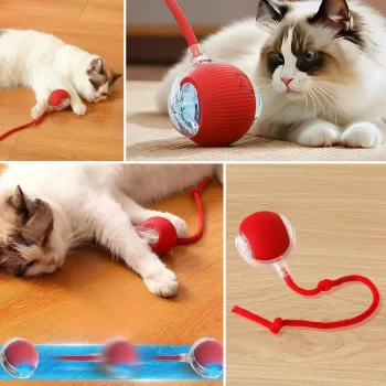 Şarjlı Otomatik Hareketli Kedi Köpek İçin 360 Derece Dönen İnteraktif Akıllı Oyun Topu (5047)