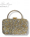 Lb Abiye Çanta 25-004 Gold
