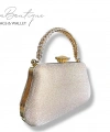 Lb Abiye Çanta 25-011 Gold