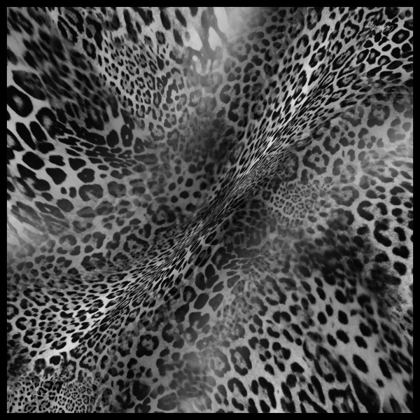 1012-13 Twıll İpek 90x90