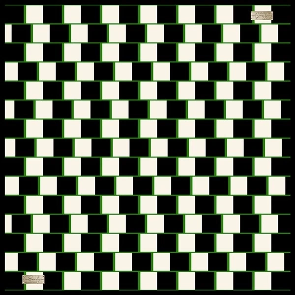 2010 Sura İpek Eşarp 07