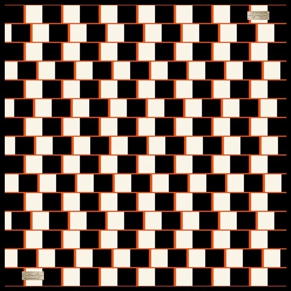 2010 Sura İpek Eşarp 08