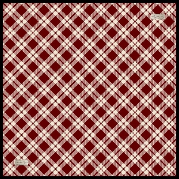 2060 Sura İpek Eşarp 10