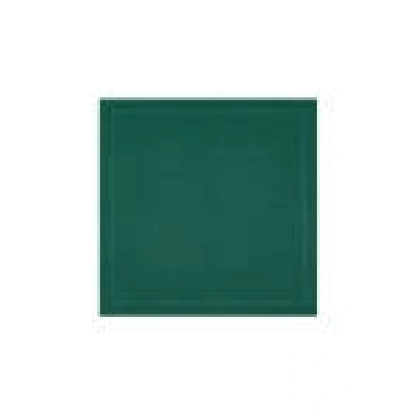 Yeşil Pıerre Cardın Eşarp