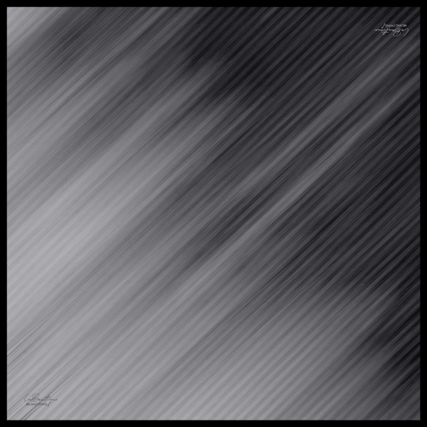 Özel Seri Eşarp 1647-19 90x90