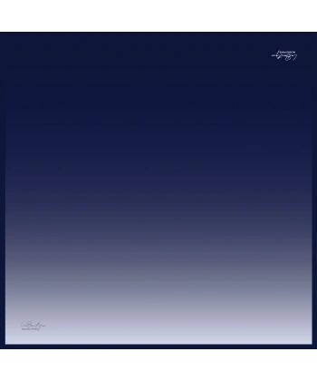 1285 Sura İpek - D3 -90x90