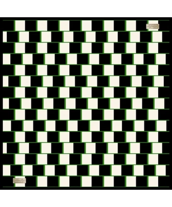 2010 Sura İpek Eşarp 07