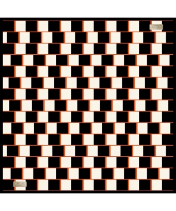 2010 Sura İpek Eşarp 08