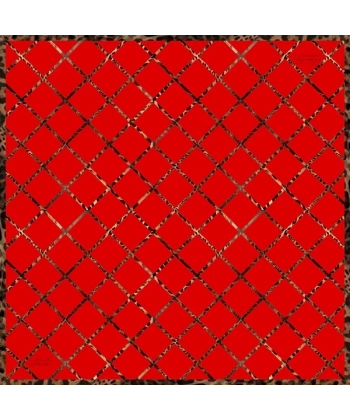 2058 Sura İpek Eşarp 03