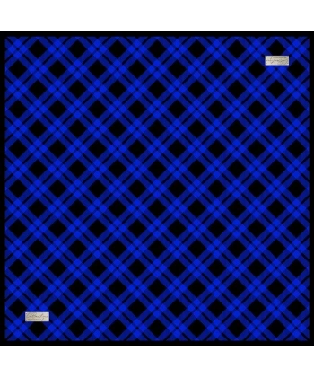 2060 Sura İpek Eşarp 04