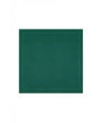 Yeşil Pıerre Cardın Eşarp