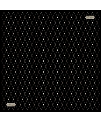 Classıcal Twıll 2157-10