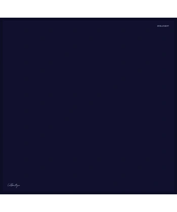 Düz Renk Sura İpek - 05 - 90x90