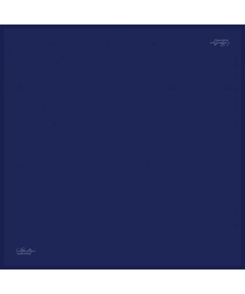 Düz Renk Twıll İpek - 123 - 90x90