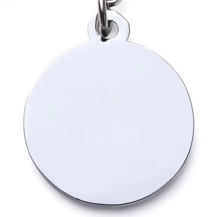 Evcil Hayvan Klipsli Tasma Künyesi