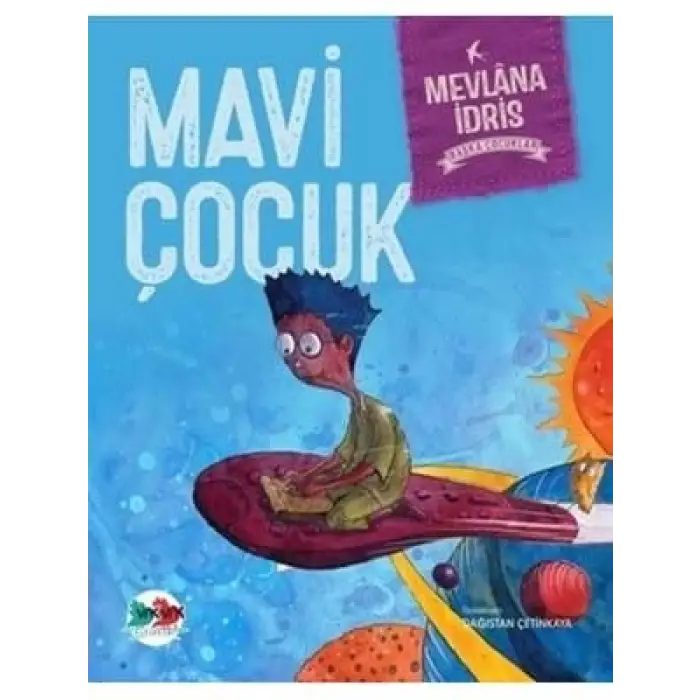 Mavi Çocuk Vak Vak Yayınları
