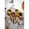 4lü Ahşap Saplı Ölçü Kaşığı