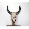 Duvara Asmalı Bufalo Kafası