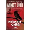 Kırlangıç Çığlığı yky Yayınları