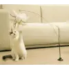 Vantuzlu Tüylü Zilli Kedi Oyun Oltası