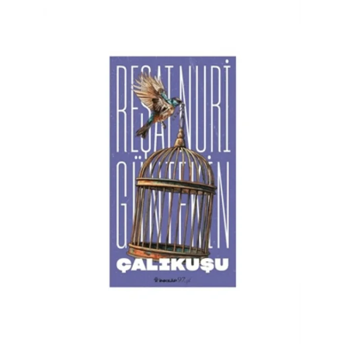 Çalıkuşu İnkılap Yayınları