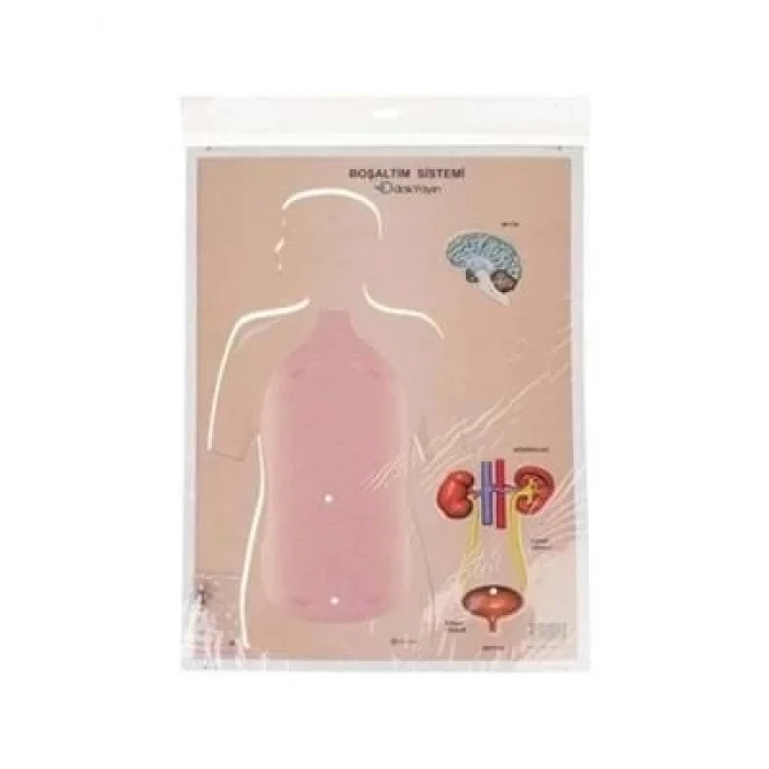 Odak Boşaltım Sistemi Meketi 777256