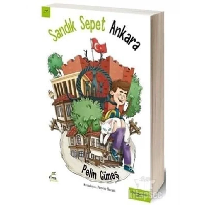 Sandık Sepet Ankara Elma Yayınları