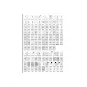 Tanex 70x70 Laser Etiket 100 Lü Tw2312