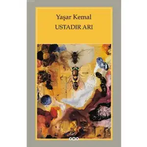 Ustadır Arı Yapı Kredi Yayınları