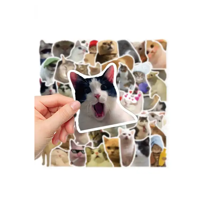 Çılgın Kediler Macbook Notebook Tablet Telefon Ajanda Laptop Defter Sticker Seti