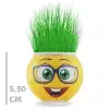 Çim Adam Saksı Emoji Figürlü 1 Adet
