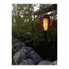 Solar Alev Efektli Bahçe Lambası