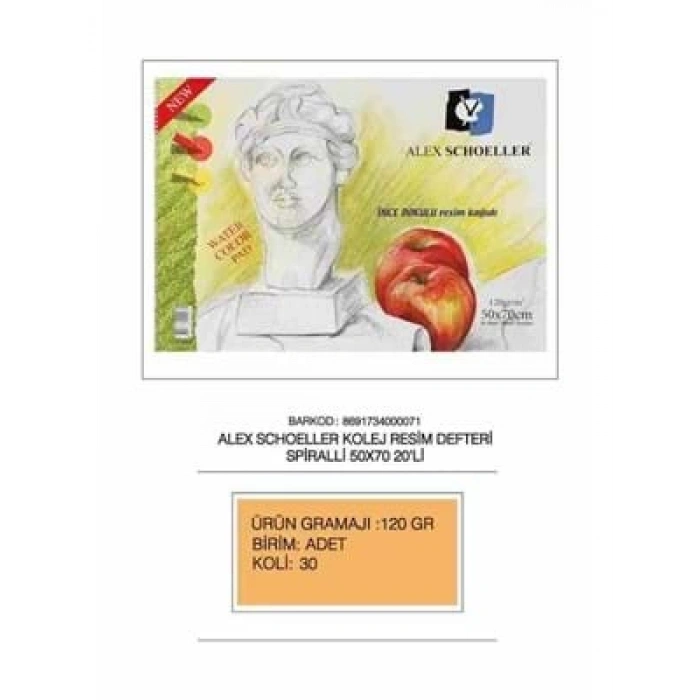 3E Grup - Alex Schoeller 50x70 Resim Defteri 20li 120 Gr Alx-895