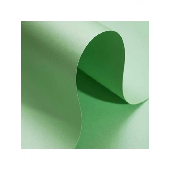 3E Grup - Alex Schoeller 50x70 Sedefli Fon Kartonu Yeşil Alx.666